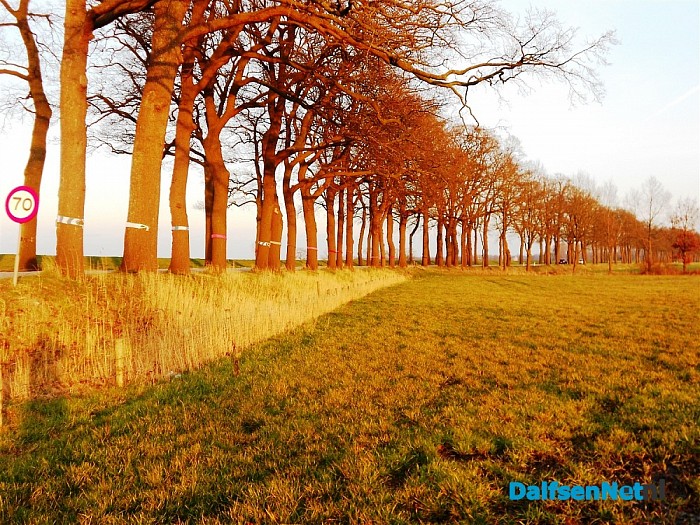 Andere inwoner van Dalfsen ook met plan Rechterensedijk.