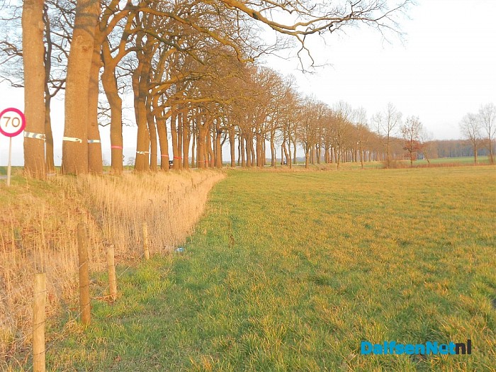 Andere inwoner van Dalfsen ook met plan Rechterensedijk.