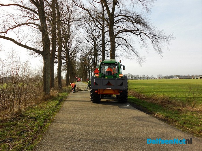 Snoeiwerk Blauwedijk