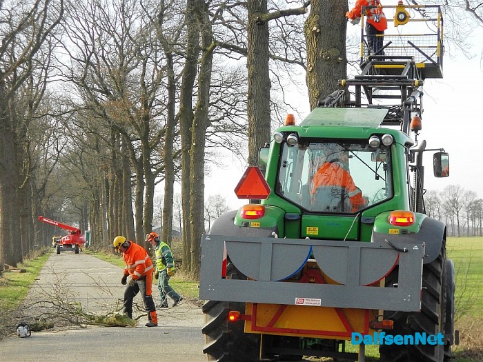 Snoeiwerk Blauwedijk