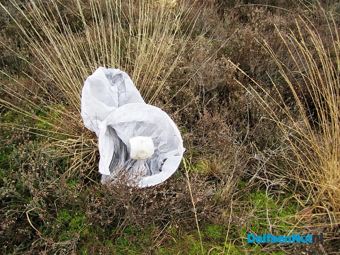 Taise of Chinese lampion landt in een heideveld