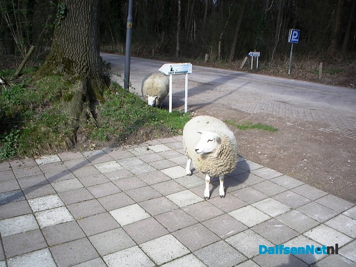 Grasmaaier in onderhoud, maaien gaat gewoon door