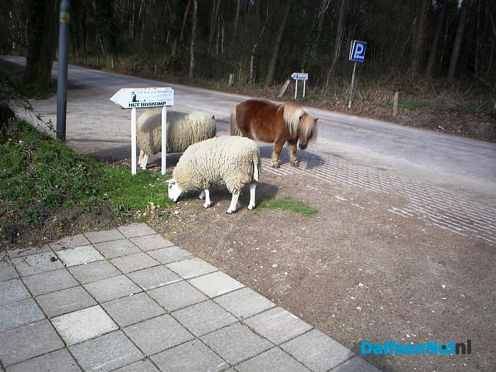 Grasmaaier in onderhoud, maaien gaat gewoon door