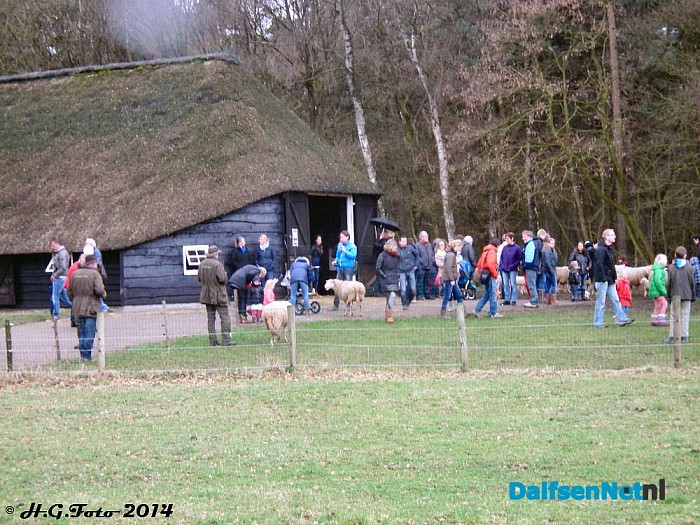 Lammetjesdag Schaapskooi Lemelerberg druk bezocht. - Foto: H.G. Foto