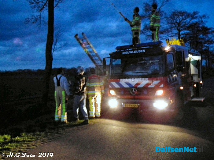 Kat zit drie dagen in een boom aan Kringsloot west. - Foto: H.G. Foto