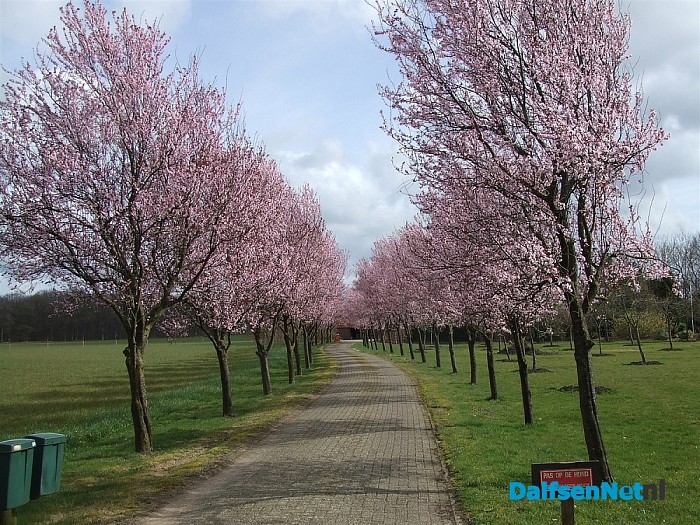 Als dit geen lente is…  Het smaakt naar meer.