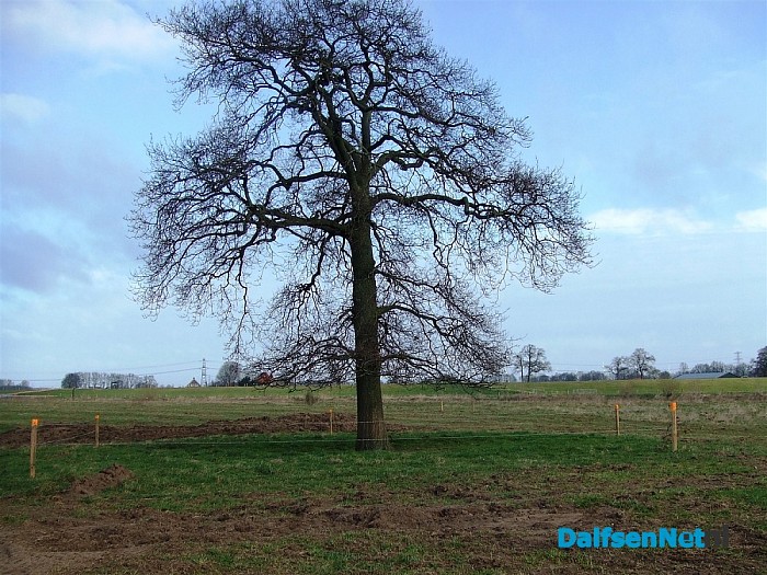 Voortgang graafwerk Groene Geul Vechterweerd