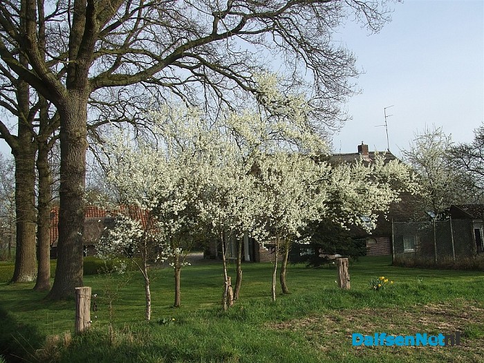 Als dit geen lente is??