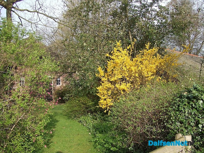 Als dit geen lente is??