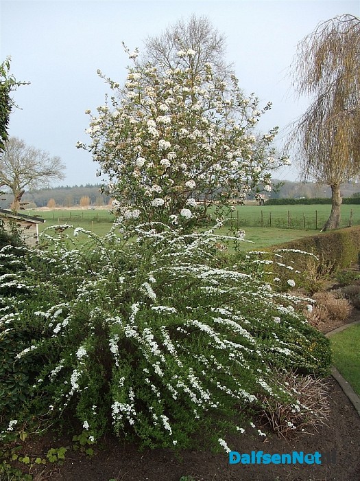 Als dit geen lente is??
