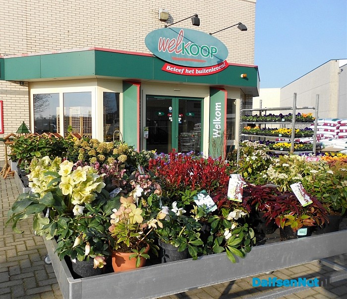 Bij lente horen ook prachtige planten