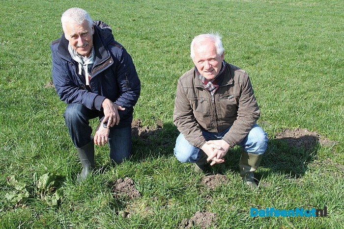 Eerste wulpenei van Nederland gevonden in de Mastenbroekerpolder!