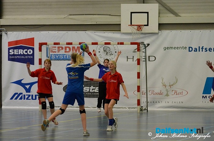 Dalfser schoolhandbal toernooi 2014