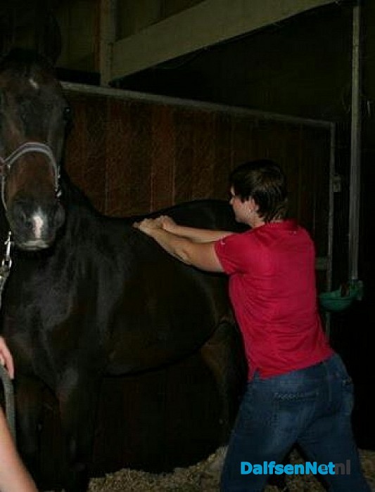 Is jouw paard a Happy Athlete?