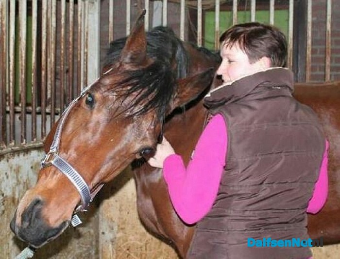 Is jouw paard a Happy Athlete?