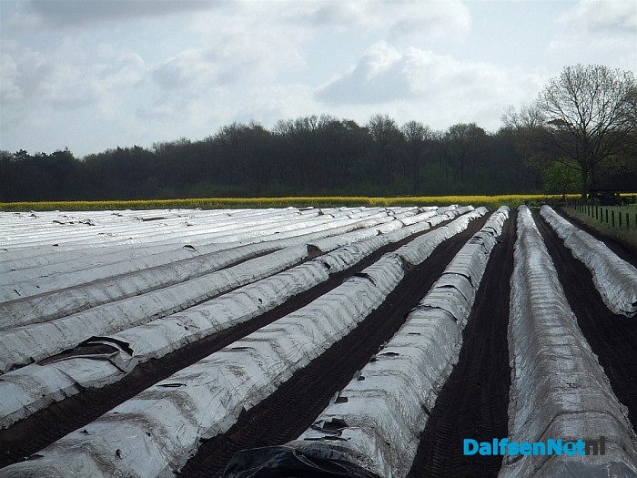 Voor asperge niet naar Limburg, maar gewoon Oudleusen