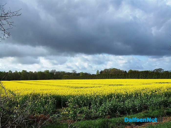 Voor asperge niet naar Limburg, maar gewoon Oudleusen
