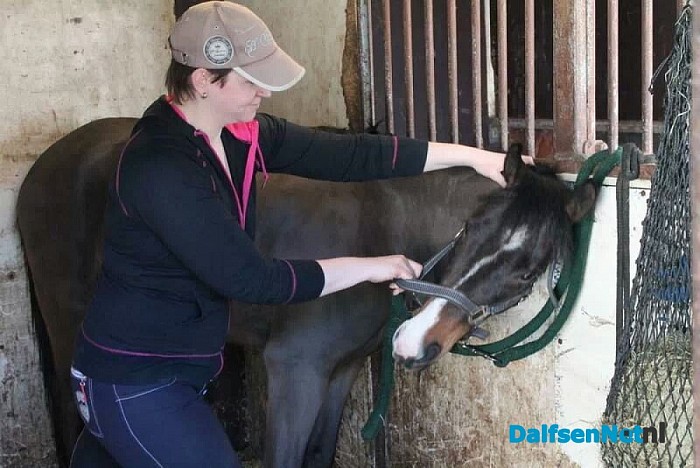 Is jouw paard a Happy Athlete?
