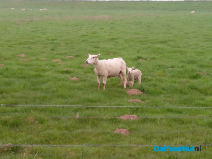 Voortgang geul Vecht