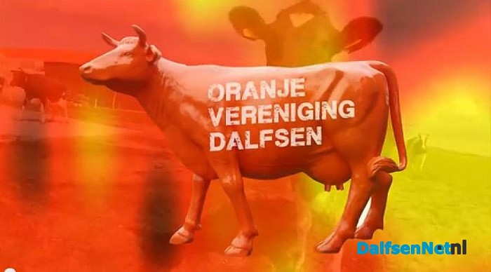 Super oranjefeesten in Dalfsen!