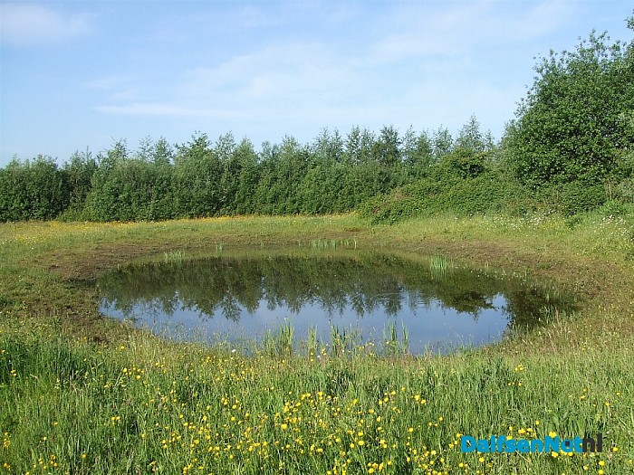 Genieten van een bloemenpracht aan de Dedemsweg