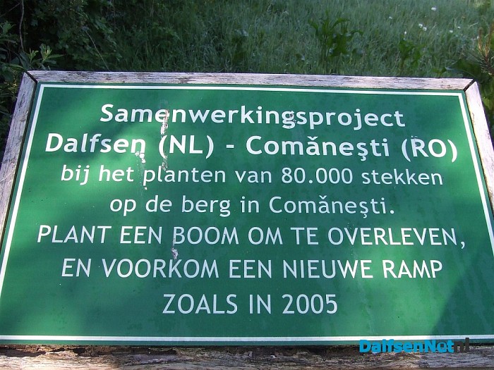 Genieten van een bloemenpracht aan de Dedemsweg