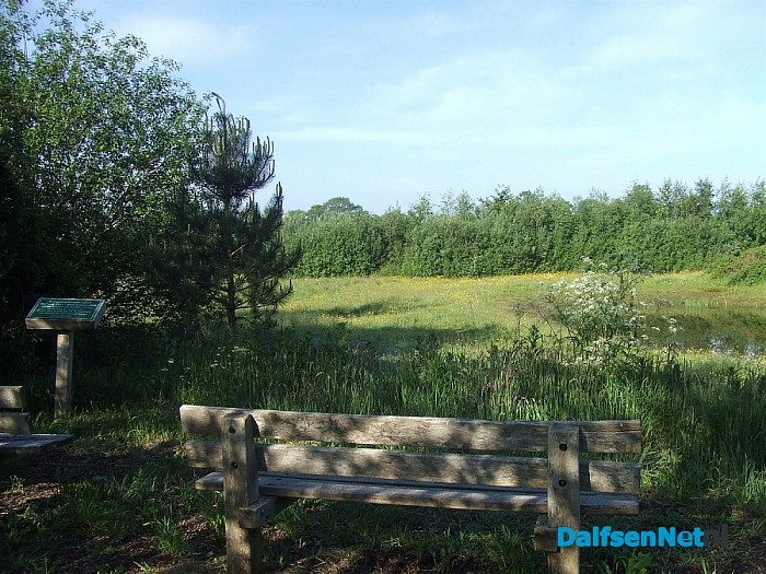 Genieten van een bloemenpracht aan de Dedemsweg