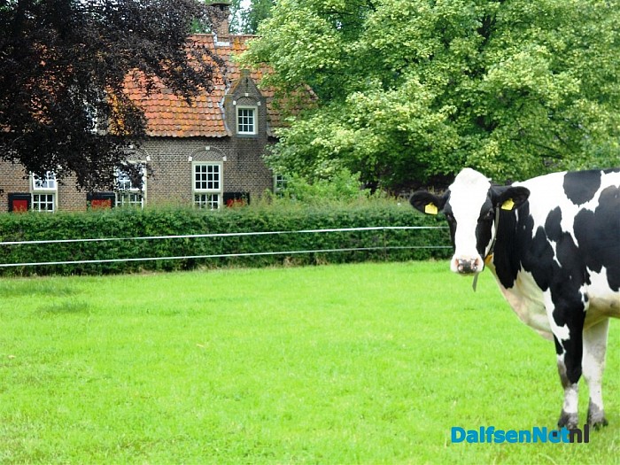Het zomerse leven