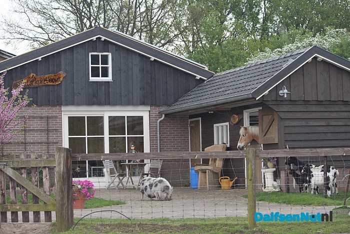 Opvangboerderij Villa Kakelbont in hartje Dalfsen. - Foto: Annemieke
