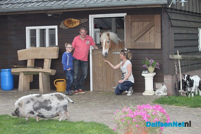 Opvangboerderij Villa Kakelbont in hartje Dalfsen. - Foto: Annemieke