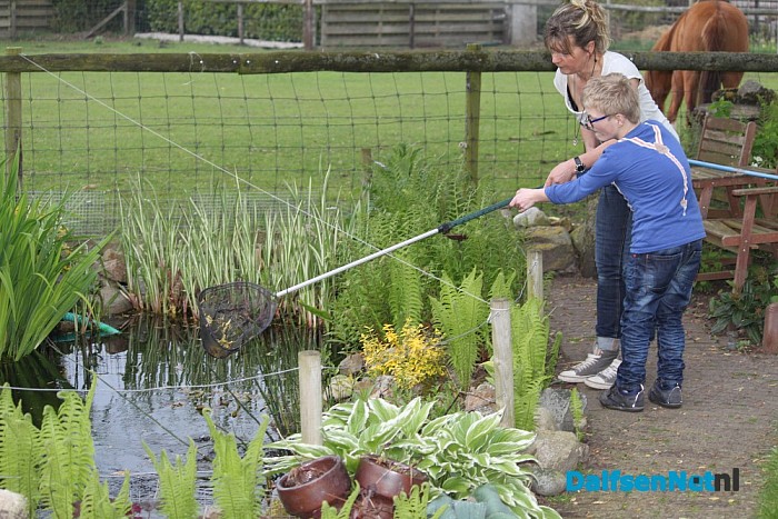 Opvangboerderij Villa Kakelbont in hartje Dalfsen. - Foto: Annemieke