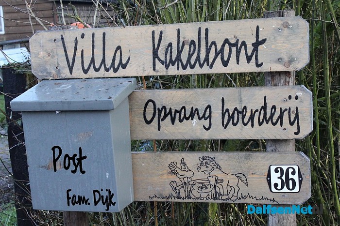 Opvangboerderij Villa Kakelbont in hartje Dalfsen. - Foto: Annemieke