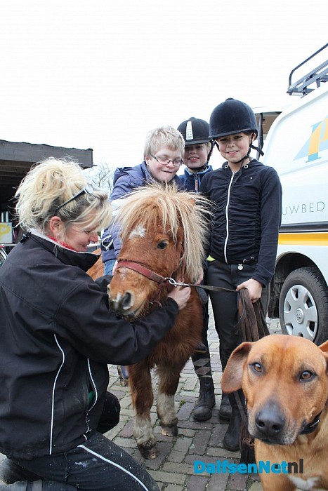 Opvangboerderij Villa Kakelbont in hartje Dalfsen. - Foto: Annemieke