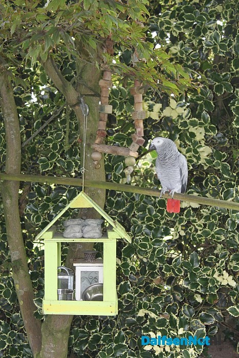 Opvangboerderij Villa Kakelbont in hartje Dalfsen. - Foto: Annemieke