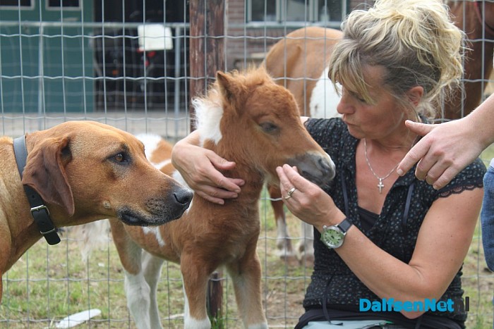 Opvangboerderij Villa Kakelbont in hartje Dalfsen. - Foto: Annemieke
