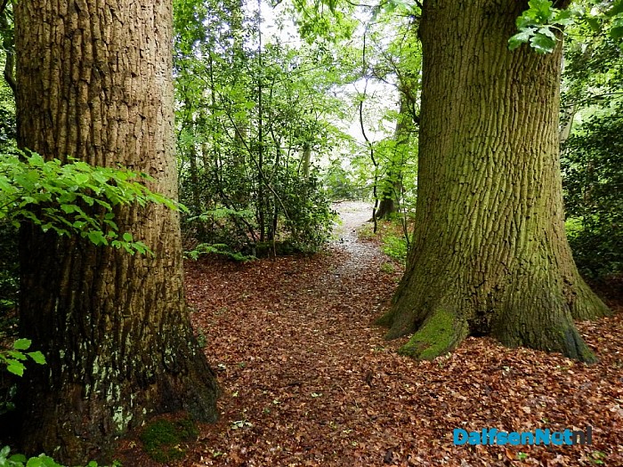 Bericht voor Dalfsenaren die eens in Wezep willen wandelen