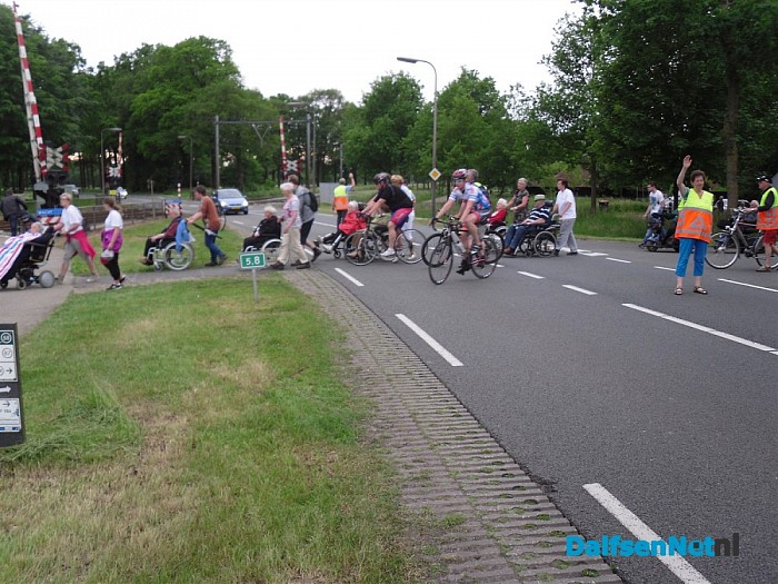 wandeldriedaagse