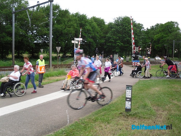 wandeldriedaagse