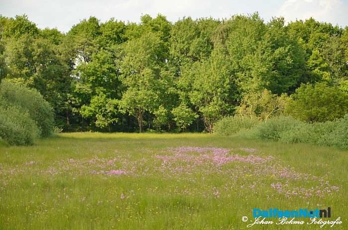 Mooie zomerse dagen! - Foto: Johan Bokma