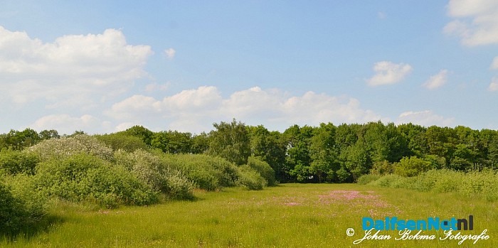 Mooie zomerse dagen! - Foto: Johan Bokma