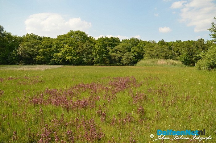 Mooie zomerse dagen! - Foto: Johan Bokma
