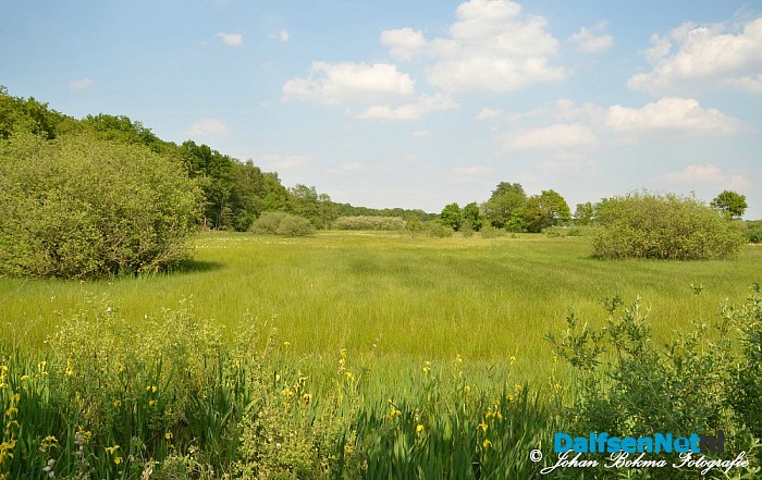 Mooie zomerse dagen! - Foto: Johan Bokma