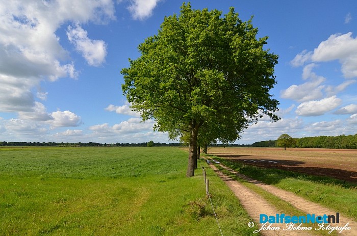 Prachtige natuurbeelden - Foto: Johan Bokma
