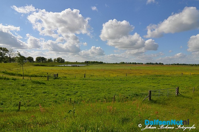 Prachtige natuurbeelden - Foto: Johan Bokma
