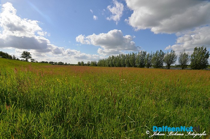 Prachtige natuurbeelden - Foto: Johan Bokma