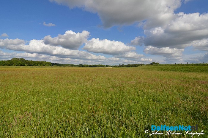 Prachtige natuurbeelden - Foto: Johan Bokma