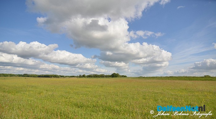 Prachtige natuurbeelden - Foto: Johan Bokma