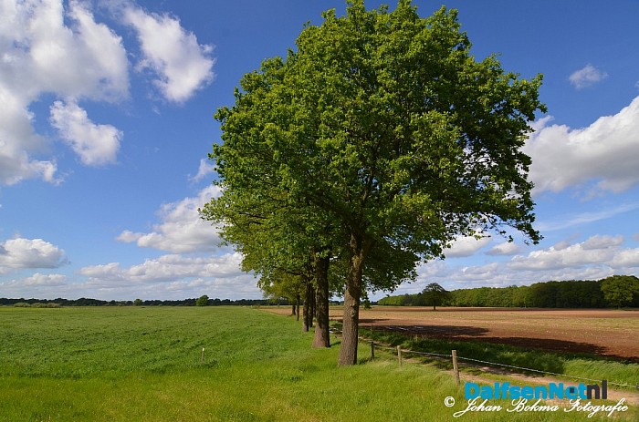 Prachtige natuurbeelden - Foto: Johan Bokma