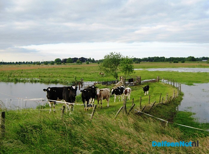 Klein behuisd in het groen