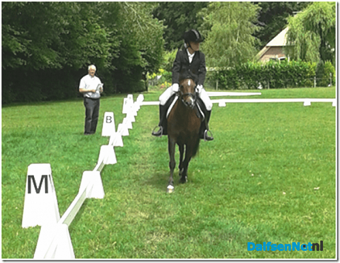 Ponyclub Dalfsen e.o.